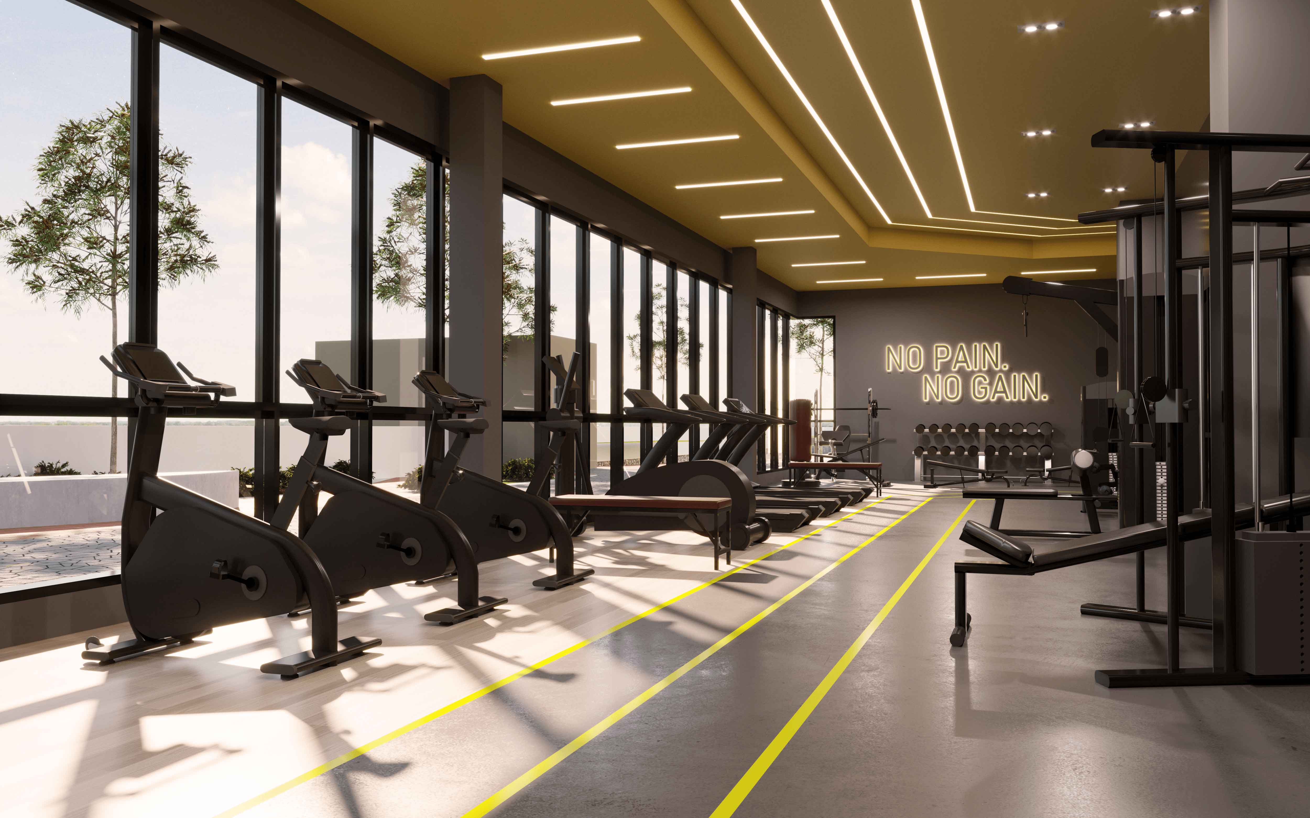 Gymnasium